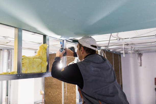 Best Insulation Maintenance and Repair in Niantic, CT